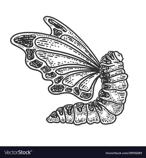 Butterfly Wings Sketch, Caterpillar Tattoo, Moth Cocoon, Caterpillar Butterfly, Wings Sketch, Butterfly Back Tattoo, Butterfly Sketch, Sketch Icon, Pattern Sketch