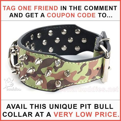 ATTENTION ATTENTION COUPON CODE OFFER!! All Pit Bull Owners special offer Only For 48 Hours. Just Tag Any Friend of Yours in the Comment Below and I will Personally Message you a code which will Help you grab this PIT BULL SPIKED COLLAR AT A VERY LOW RATE. HURRY offer valid only for 48 Hours and Less in Stock. Note:-- The code given to you is only for one time use and only one user name can use it. So no cheating. :) P.S --> Its Limited timed offer and stock. Its been a Long Time You Gifted your Pit bull a Goodie. Spiked Collar, Spiked Dog Collar, Studded Dog Collar, Dog White, Dog Pets, Dog Store, Medium Dog, Rosy Pink, Outdoor Running