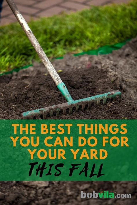 Fall Fertilizer For Lawn, Fall Yard Prep, Fall Yard Maintenance, Fall Yard Clean Up, Fall Yard Ideas, Fall Yard Work, Yard Hacks, 2023 Landscape, Overseeding Lawn