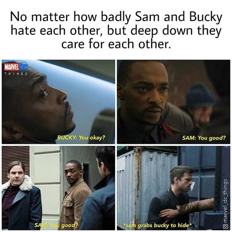 Marvel Dc Entertainment on Instagram: “The writing on this show is so good🤔 The chemistry between the two is very unique👇 Follow @daily.dcmarvel.post for HD Content.🙂 . Turn on…” Sam And Bucky, Fan Girling, Marvel Show, Sam Wilson, Marvel Tv, Anthony Mackie, Bucky Barnes Winter Soldier, Avengers Comics, Mcu Marvel