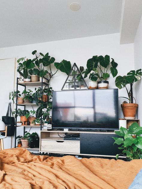 Tv Storage Wall, Eclectic Room Decor, Diy Plant Stands, Wall Behind Tv, Living Room Plans, Plant Nanny, Apartment Vision Board, Indoor Plant Display, Eclectic Room