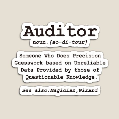 Audit Memes, Internal Audit, Job Interview Tips, Interview Tips, Work Ideas, Job Interview, Classroom Ideas, The Magicians, Accounting