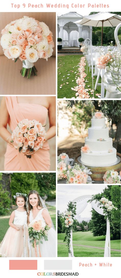 Top 9 Peach Wedding Color Palettes for 2019 -No.9 Peach and White #colsbm #bridesmaids #weddings #weddingideas #summerwedding b574 Peach Wedding Inspiration, Peach Decorations Wedding, Sage Green And Peach Wedding Decor, Wedding Decor Peach, Peaches And Cream Wedding Theme, Peach And White Wedding, Cream Wedding Theme, Peach Wedding Theme, Peach Wedding Decorations