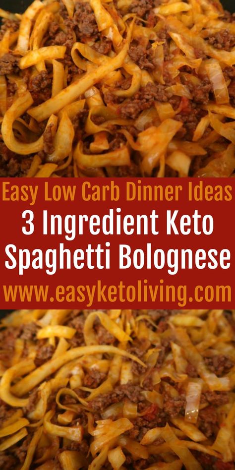 Keto Spaghetti Bolognese Recipe - Easy 3 Ingredient Low Carb Dinner Spaghetti Bolognese Recipe Easy, Bolognese Recipe Easy, Budget Dinner Ideas, Keto Spaghetti, Budget Dinner, Spaghetti Bolognese Recipe, Homemade Meat Sauce, Bolognese Recipe, Healthy Pasta