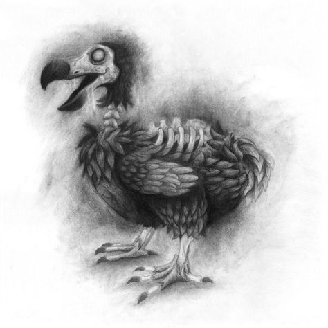 Dodo Tattoo, Birds Nests, Flightless Bird, Clock Tattoo, S Tattoo, Small Island, Various Artists, Leg Tattoos, Mauritius