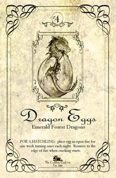 "Dragon's Eggs" Bottle Label Halloween Apothecary Labels, Imprimibles Halloween, Halloween Potion Bottles, Halloween Apothecary, Dragon Eggs, Apothecary Labels, Potion Labels, Halloween Fest, Etiquette Vintage