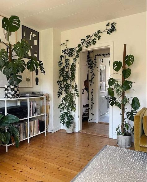 Tanaman Indoor, Deco Studio, Hemma Diy, Plant Decor Indoor, Cozy Room Decor, House Plants Decor, Room With Plants, House Plants Indoor, Apartment Inspiration