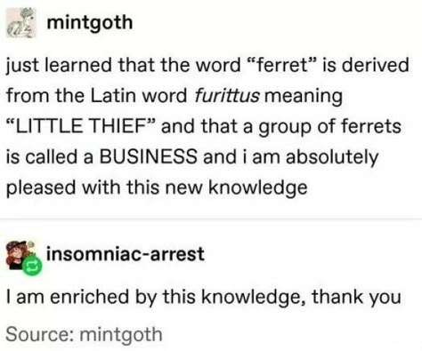 This Facebook Page Makes It Clear How Silly Linguistics Is, Here Are 40 Of Their Funniest Posts Cool Facts, Funny Tumblr, Random Facts, Percabeth, E Card, The More You Know, What’s Going On, Text Posts, Tumblr Funny