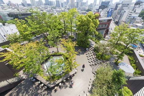 Best Rooftop Grdens in Tokyo-Relax in one of these secret gardens, found way above ground on the city's shopping mall rooftops Colorful Flower Beds, Tokyo Midtown, Tokyo Skyline, Rooftop Gardens, Roof Garden Design, Secret Gardens, Sky Garden, Rooftop Garden, City Garden