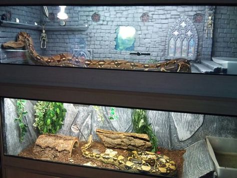 Ball python clear front stack rack enclosures. Haunted castle themed for fun! Terrarium Room, Python Enclosure, Python Tank, Snake Cages, Diy Reptile, Bearded Dragon Enclosure, Snake Terrarium, Bearded Dragon Cage, Snake Enclosure