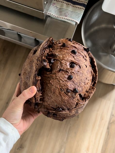 Double Dark Brownie Sourdough Bread Brownie Sourdough, Sourdough Scones, Recipe Using Sourdough Starter, Sourdough Loaf, Dough Starter, Sourdough Starter Discard Recipe, Bread Starter, Sourdough Starter Recipe, Sourdough Baking