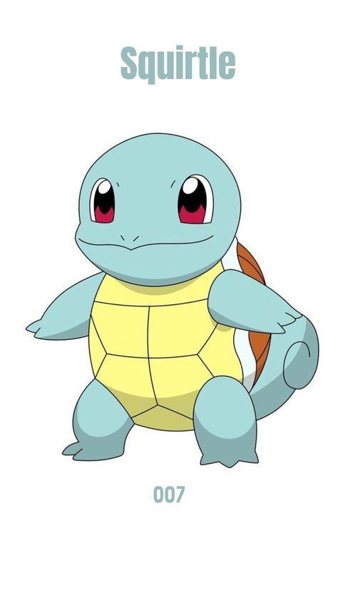 Squrtile Pokemon Cute, Squirtle Drawing, Turtle Pokemon, Classic Pokemon, Pokemon Decal, Little Kanha Ji Images, Clay Pokemon, Pokemon Anime Characters, Pokemon Tattoos