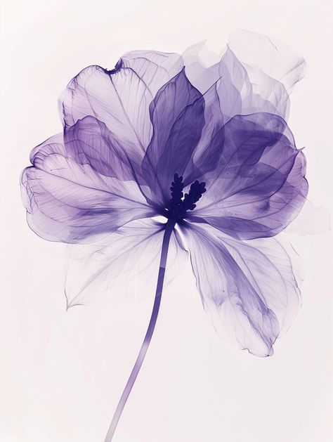 Bring the beauty of nature into your home with this stunning purple floral art print. This high-resolution digital artwork features delicate, transparent petals in shades of purple, creating an elegant and serene atmosphere. Perfect for brightening up any room, this wall art is ideal for living rooms, bedrooms, or offices. Product Details: Type: Digital Art Print This digital download allows you to print the artwork in various sizes to fit your space. Frame it to complement your home decor style Purple Decals, Purple Flowers Aesthetic, Violet Illustration, Purple Posters, Violet Design, Purple Poster, Purple Blossom, Purple Frame, Purple Wall Art