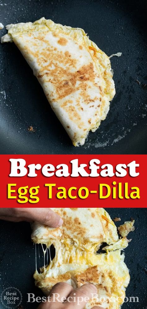 Breakfast Taco-Dilla with Egg Cheese Taco Quesadilla | BestRecipeBox.com Toasted Breakfast Taco, Breakfast Egg Quesadilla, Tortilla Egg Breakfast Videos, Low Carb Breakfast Tacos, Egg Tacos Breakfast, Tortilla Egg Breakfast, Egg Quesadilla, Taco Quesadilla, Taco Breakfast