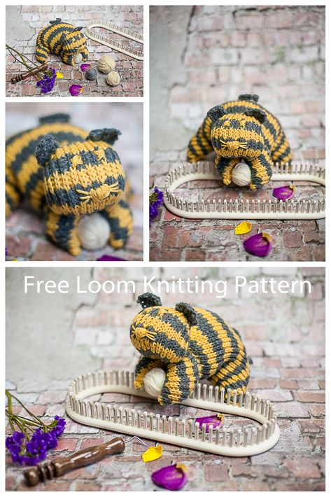 Loom Knit Cat Pattern (Free). Free loom knitting patterns by This Moment is Good. Rectangular Loom Knitting Patterns, Knit Cat Pattern, Free Loom Knitting Patterns, Loom Knitting Patterns Free, Loom Blanket, Loom Animals, Loom Knitting Pattern, Knit Cat, Loom Knitting Tutorial