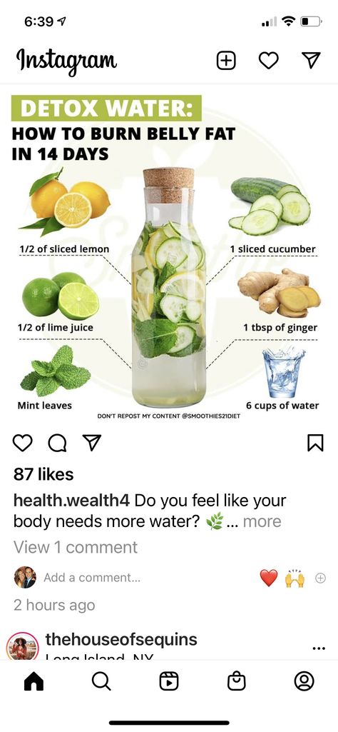 Lemon Leaves Benefits, Benefits Of Lime Juice, Mint Water Benefits, Benefits Of Mint Leaves, Mint Leaves Benefits, Ginger Detox Water, Ginger Detox, Hot Lemon Water, Mint Water