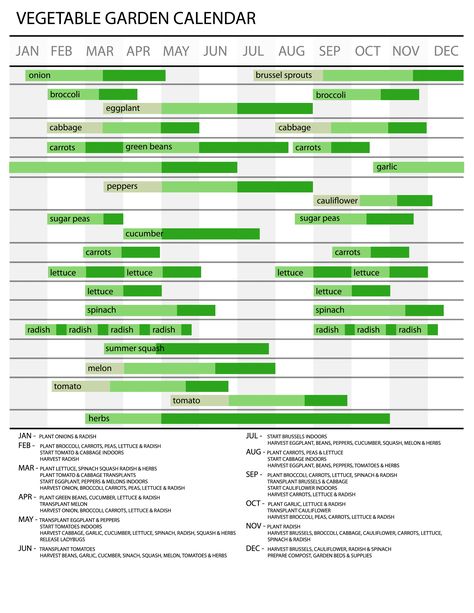 Gardening Chart, Mini Homestead, Planting Schedule, Vegetable Garden Planner, Planting Calendar, Greenhouse Garden, Gardening Zones, Vegetable Garden Diy, Garden Calendar