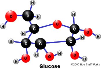 Tj. Glucose is an example of a carbohydrate which is commonly encountered. It is also known as blood sugar, and dextrose.  Its chemical formula is C6H12O6, and this empirical formula is shared by other sugars - called hexoses - 6 carbon sugars. You may wish to know in some detail how these 24 atoms are arranged in the molecule of glucose – the structural formula.  In some books you may see diagrams of the glucose molecule looking like this: This so-called stick diagram really only describes how Structural Formula, Science Models, Ap Biology, Animal Cell, Chemistry Notes, Chemical Structure, 5th Grade Science, Molecular Structure, Lack Of Energy