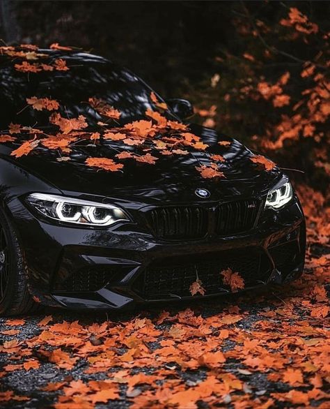 Pin by patricia ferreira on BMW | Bmw love, Bmw, Bmw m4 Bmw Car Aesthetic, Black Bmw, Tokyo Drift Cars, Bmw Girl, Scary Dogs, Bmw Wallpapers, Aesthetic Cool, Pimped Out Cars, Photos For Profile Picture