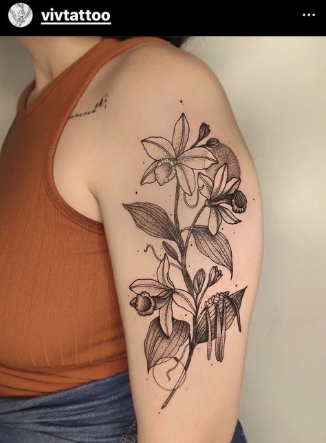 Botanical Tattoos, Botanical Tattoo, Nature Tattoos, Dreamcatcher Tattoo, Design Inspo, Flower Tattoo, Tatting, Tattoo Ideas, Tattoos