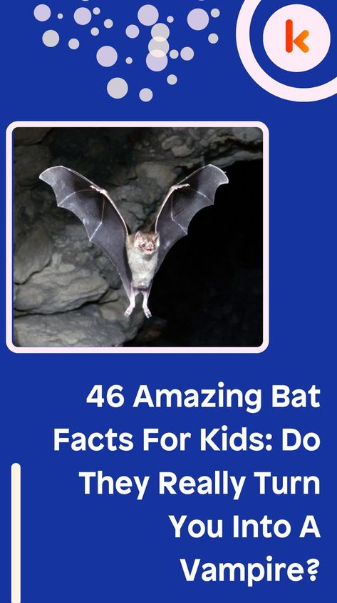 46 Amazing Bat Facts For Kids: Do They Really Turn You Into A Vampire? Bat Facts For Kids, Bat Facts, Fruit Bats, Vampire Bats, Art Witch, Fruit Bat, Playing Outside, Vampire Bat, Facts For Kids