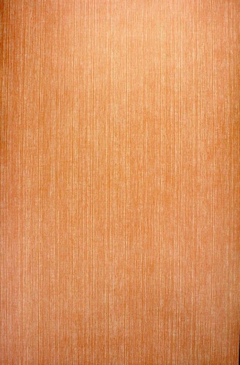 Soft Brown Wallpaper Plain, Wallpaper Backgrounds Plain, Plain Wallpaper Hd, Plain Grey Wallpaper, Plain Background Colors, Cool Collections, Orange Wallpapers, Wallpapers Cool, Wallpaper Plain