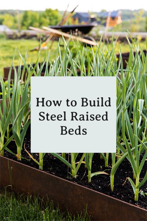 Steel Raised Beds, Metal Garden Beds, Modern Homestead, Vegetable Bed, Homestead Gardens, Raised Beds, Raised Garden Beds, Raised Garden, Garden Beds