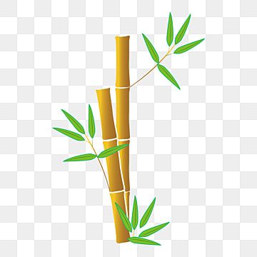 bamboo,cartoon bamboo,bamboo vector,flat bamboo,bamboo decoration,bamboo leaves,bamboo,green bamboo,bamboo stick,cartoon clipart,bamboo clipart Bamboo Clipart, Cartoon Bamboo, Bamboo Cartoon, Bamboo Vector, Stick Cartoon, Wheat Decorations, Bamboo Decoration, Cartoon Inspiration, Golden Bamboo