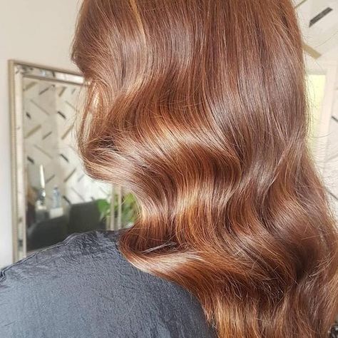 16 Brown Hair Colors, from Bronde to Brunette | Wella Professionals Chestnut Hair Color Light, Tangerine Brown Hair, Light Chestnut Brown Hair, Gold Brown Hair, Light Brown Shades, Brown Hair Trends, Warm Brown Hair, Mahogany Hair, Chestnut Brown Hair