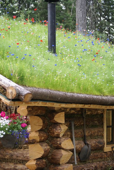 Sod Roof, Green Roof Garden, Green Roof House, Grass Roof, Earth Sheltered, Flowers Growing, Living Roofs, Underground Homes, Log House