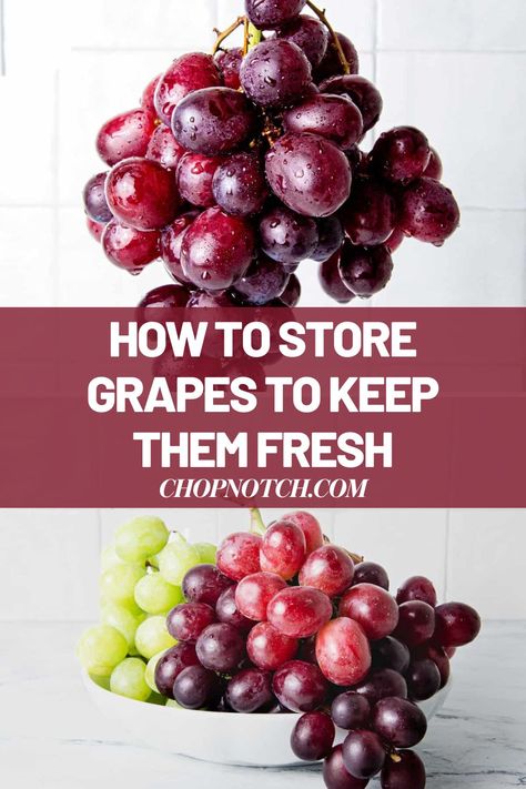 Grapes are a versatile fruit and they make a delicious snack food whenever a sweet craving hits. Knowing how to store grapes means you can buy plenty at a time and they should stay ripe, crisp, and delicious for as long as possible. So, Do You Know How to Store Grapes to Keep Them Fresh? Discover here! #FoodStorage #GrapesStorage #Grapes #FruitStorage Grape Storage In Fridge, Keep Grapes Fresh Longer, Storing Grapes In Mason Jar, Storing Grapes In Fridge, Best Way To Store Grapes, How To Keep Grapes Fresh Longer, How To Store Grapes In Fridge, Fresh Grapes Recipes, Storing Grapes