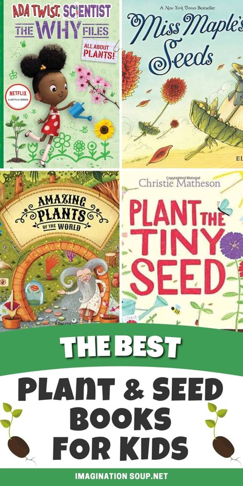 Books About Plants, Easy Chapter Books, Educational Activities For Toddlers, Elementary Books, Spring Books, Plant Book, Gardening Books, Kids Imagination, Growing Seeds