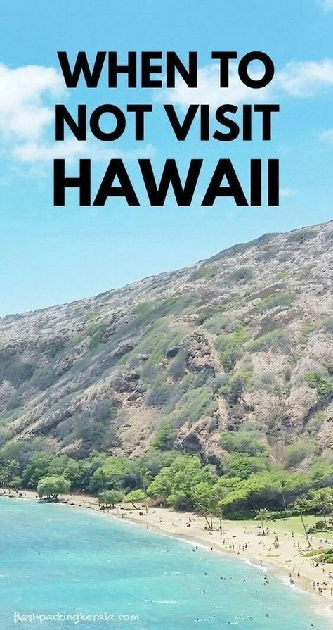 best things to do in hawaii. us travel vacation ideas. hawaiian islands. beach vacation. beautiful places. Hawaii On A Budget, Planning Trip, Hawaiian Honeymoon, Hawaii Snorkeling, Hawaii Vacation Tips, Hawaii Trip Planning, Best Island Vacation, Lanai Island, Hawaii Travel Guide