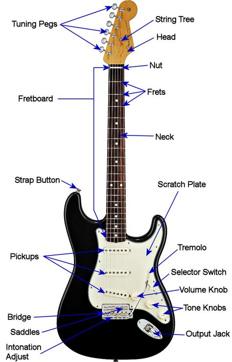 Electric Guitar Shapes, Different Types Of Guitars, Pretty Guitars Electric, Electric Guitar Notes, Bass Guitar Aesthetic, Guitar Types, Learn Electric Guitar, Electric Guitar Chords, Types Of Guitars