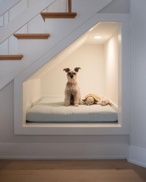 Barkitecture Ideas, Bed Under Stairs, Under Stairs Dog House, Dog Nook, Under Stairs Nook, Stair Nook, Dog Room Decor, Pet Room, Dog Bedroom