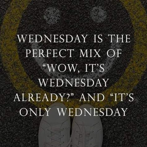 Wednesday Humor Funny Hilarious Thoughts, Its Wednesday Funny, Wednesday Post Ideas, Wednesday Memes Humor, Wednesday Memes Funny, Wednesday Morning Quotes Funny, Wednesday Morning Humor, Wednesday Humor Motivation, It’s Wednesday