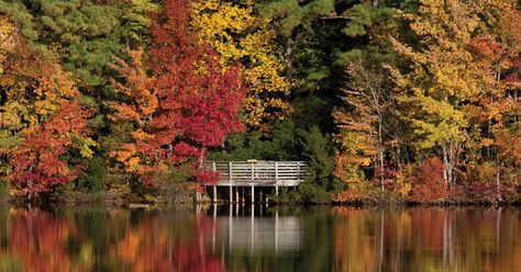 Laurel Ms, Virginia Fall, James River, Leaf Peeping, Oak Grove, Farm Field, Formal Gardens, Newport News, Nature Center