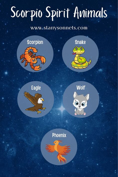 Infographic about Scorpio Spirit Animals including scorpion, snake, eagle, wolf, and phoenix. Scorpio Animal Spirit, Zodiac Spirit Animals, Scorpio Spirit Animal, Scorpio Animal, Cute Scorpion, November Magick, October Scorpio, Hand Guide, Scorpio Power