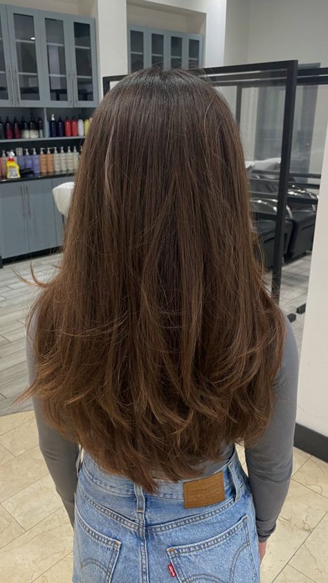 Layered hairstyles trim medium length haircut brown hair transformation Medium Length Haircut Brown, Medium Length Haircut Brown Hair, Aesthetic Layered Hair, Brown Hair Transformation, Long Layers Hair, Hair Inspo Long, Layered Haircuts Straight Hair, Layered Haircuts Straight, Long Hair Aesthetic