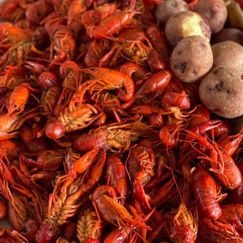 It may be cold outside, but crawfish season is heating up in Louisiana! In this week's Feasting ... Boiled Seafood, Boiled Crawfish, Cajun Boil, Crawfish Season, Seafood Boil, Boat Ride, Cajun Recipes, On A Boat, Cold Outside