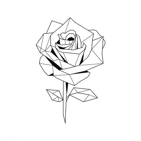 Linear illustration of a rose flower | premium image by rawpixel.com / poyd Geometric Flower Drawing, Linear Illustration, Rose Outline, Flower Geometric, Linear Art, Geometric Rose, Polygon Art, Flowers Drawing, Geometric Tattoo Design