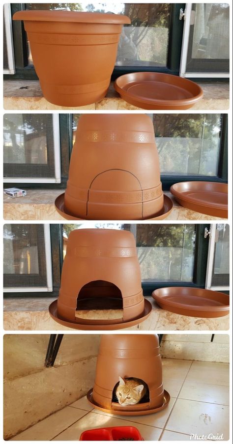 Cute Cat Houses Outdoor, Diy Outside Cat Shelter, Outside Cat House Diy Shelters, Diy Outdoor Cat House Cheap, Outdoor Kitty House Diy, Easy Diy Outdoor Cat House, Easy Cat House Outdoor, Cats House Ideas Outdoor, Easy Diy Cat House