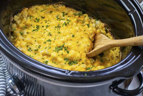 Our Crockpot Hashbrown Casserole is creamy, cheesy, and so simple! Toss the ingredients in the crockpot and let it do all the work for you, leaving your oven space available for other dishes! These crockpot cheesy hashbrowns are a must make for any holiday dinner or potluck. Crockpot Cheesy Hashbrowns, Crockpot Hashbrown Casserole, Cheesy Hashbrown, Vegan Ribs, Rv Cooking, Buns In My Oven, Cheesy Hashbrown Casserole, Cheesy Hashbrowns, Hashbrown Casserole