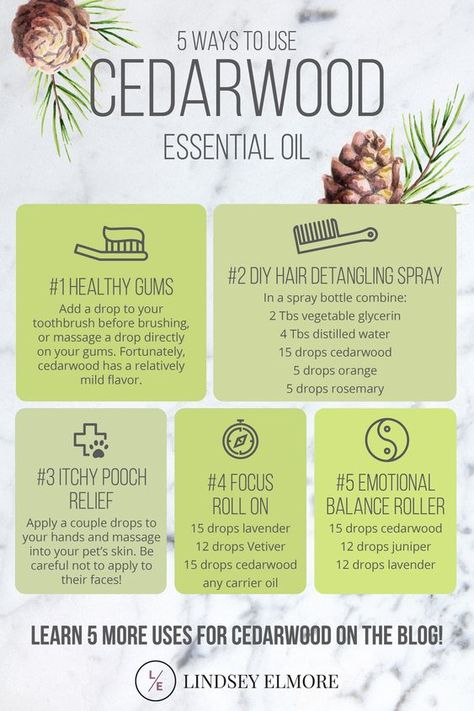 Cedarwood Essential Oil Uses, Essential Oils 101, Doterra Essential Oils Recipes, Young Living Essential Oils Recipes, Essential Oils Guide, Essential Oil Diffuser Recipes, Yl Essential Oils, Cedarwood Oil, Essential Oil Blends Recipes