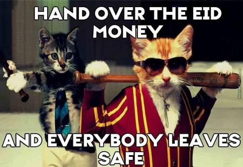 Eid Mubarak! ^ cool cats ~ Happy Eid al-Fitr Funny Dp, Funny Cat Wallpaper, Cat Quotes Funny, Funny Images Laughter, Eid Al Fitr, Cat Quotes, Funny Cat Memes, Funny Cat Pictures, Funny Video Memes