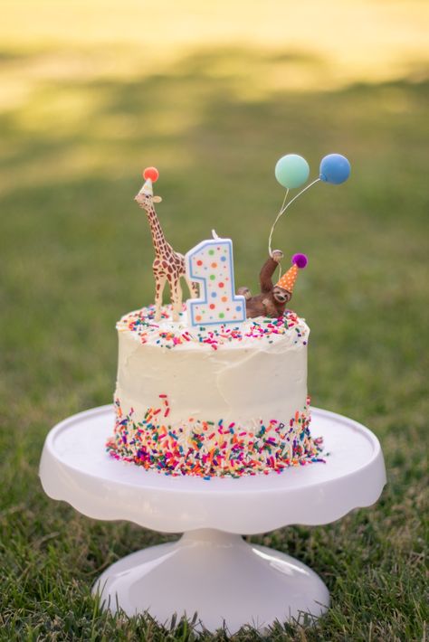 Giraffe, sloth, birthday cake, candle, balloons, sprinkles, rainbow Party Animal Birthday Cake, Tiny Party Hats, Diy Party Animals, Animals With Balloons, Party Animal Theme, Animal Birthday Cake, Instagram Birthday Party, Party Animal Birthday, Lego Themed Party