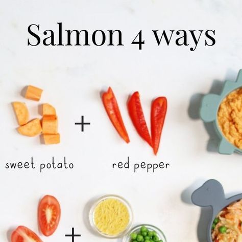 Annabel Karmel on Instagram: "4️⃣ WAYS WITH SALMON 🐟⁠ ⁠ Did you know that in your baby’s first 2 years, their brain develops at a faster rate than at any other time in their life? Mind blowing, isn’t it?!⁠ ⁠ And when it comes to brain development, those omega 3 fatty acids are super important. Giving them oily fish, like salmon, is a great way to pack in this critical nutrient. Include oily fish in your baby’s diet twice a week.⁠ ⁠ You can mix it up and use tinned salmon too! Tinned salmon is also a good source of calcium (because of the bones). Just ensure they are completely grounded / blended for your baby.⁠ ⁠ Find all these brand-new salmon recipe on my Baby & Toddler Recipe App 📲👶🏾⁠ ⁠ 1️⃣ Salmon, Sweet Potato & Red Pepper Puree ⁠ ⁠ 2️⃣ Salmon, Tomato & Pea Orzo ⁠ ⁠ 3️⃣ Salmon, Squ Salmon Recipes For Baby, Salmon Baby Food Recipes, Salmon For Baby, Pea Orzo, Salmon Squash, Red Pepper Puree, Salmon Tomato, Pepper Puree, 7 Months Baby Food