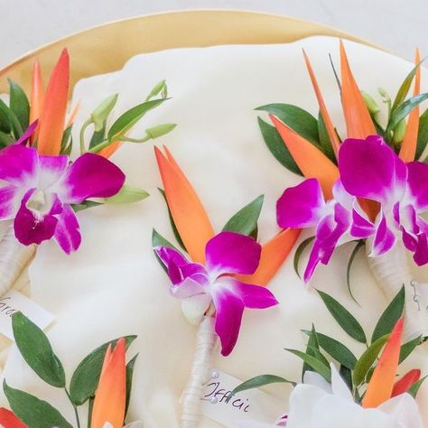 Genesis Floral on Instagram: "Only orchids and tropical blooms for these lovely wedding boutonnières" Tropical Boutonniere, Bride Things, Orchid Boutonniere, Mens Boutonniere, Tropical Orchid, Wedding Groomsmen, Floral Arrangements Wedding, Tropical Wedding, Wedding Floral