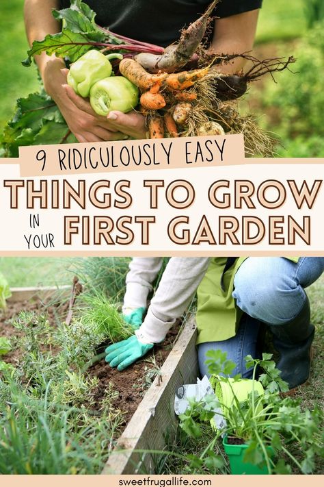 What are the easiest things to grow in the garden. Easy things to grow in the garden. How to start growing your own food. Vegetables that grow really easy. Frugal tips for gardening. How to garden. Tips for beginner gardeners. How to grow your own food. Saving money on groceries with a garden. Vegetable Garden List, Easiest Things To Grow In A Garden, Easy Veg To Grow Uk, Diy Food Garden, Fruits To Grow In Your Garden, Growing A Garden For Beginners, Easiest Food To Grow, Growing Own Food, How To Grow Food