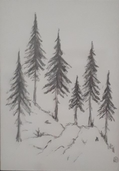 Big Tree Drawing Easy, Tree Base Drawing, How To Draw Forest Trees, Basic Tree Drawing, How To Draw Winter Trees, Snowy Tree Drawing, Simple Forest Drawing, How To Draw A Tree, Big Tree Drawing